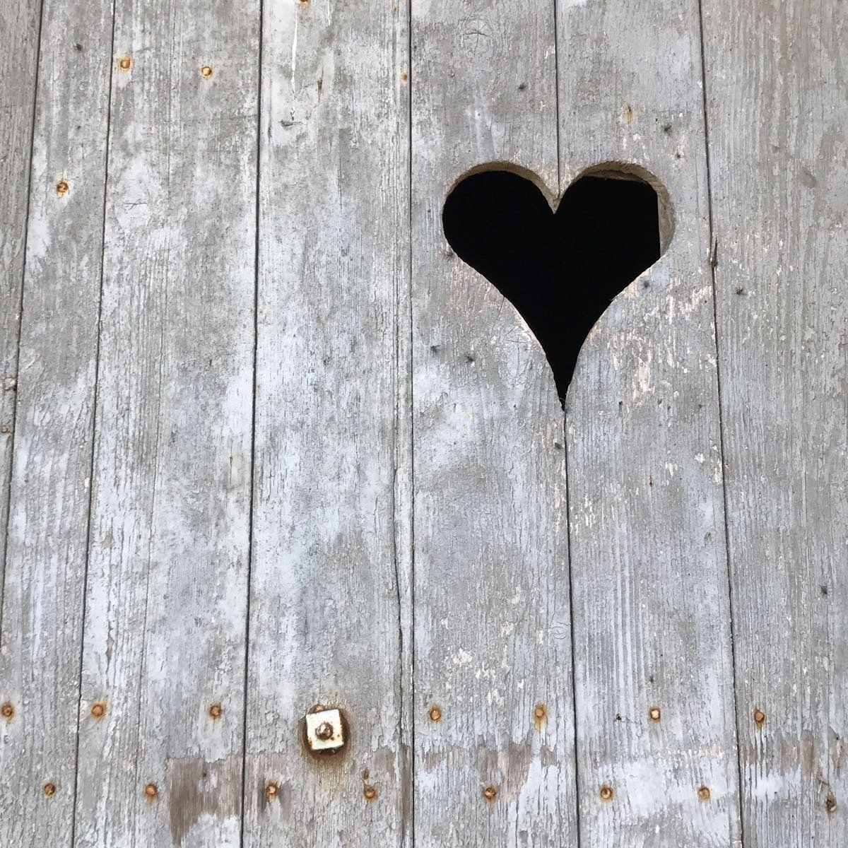 Forlorn: In Memory of the Forgotten