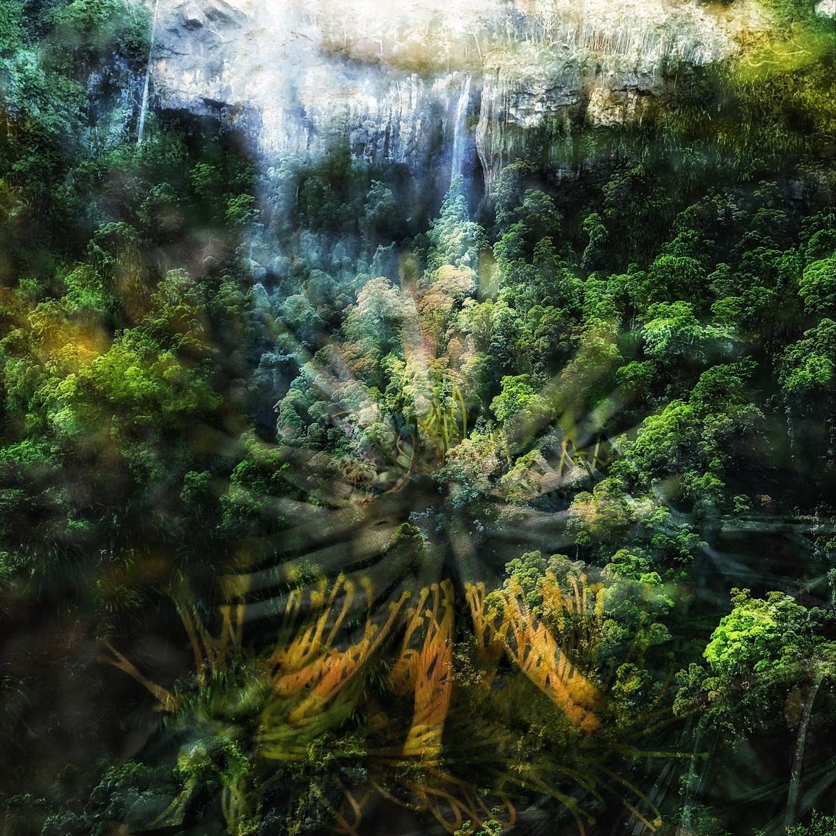Nature’s Secret to Beauty & Youthfulness