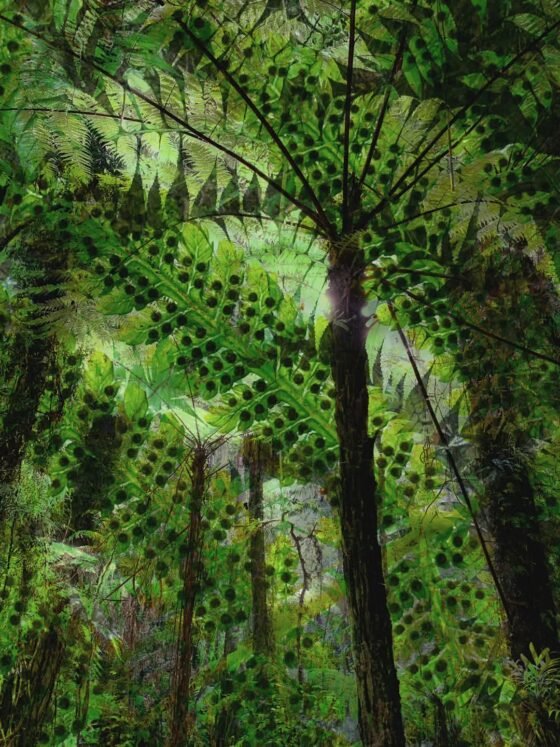 Fearns: The Realm of Magic & Faeries