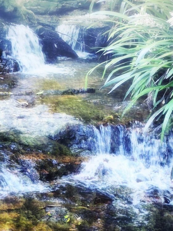 Waterfall Wonder